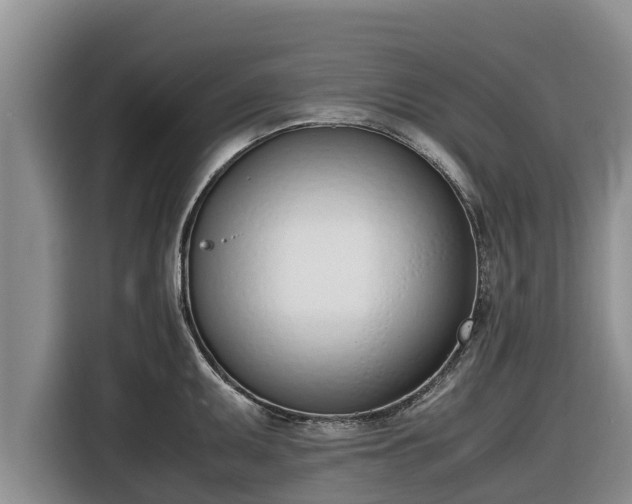 X0000116821095200912241236