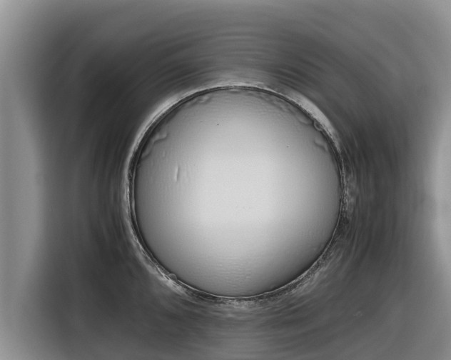 X0000116821096200912241236