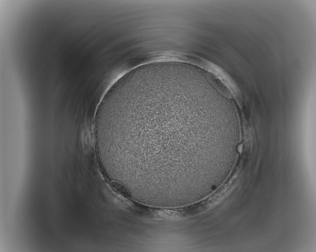 X0000116821097200912241236