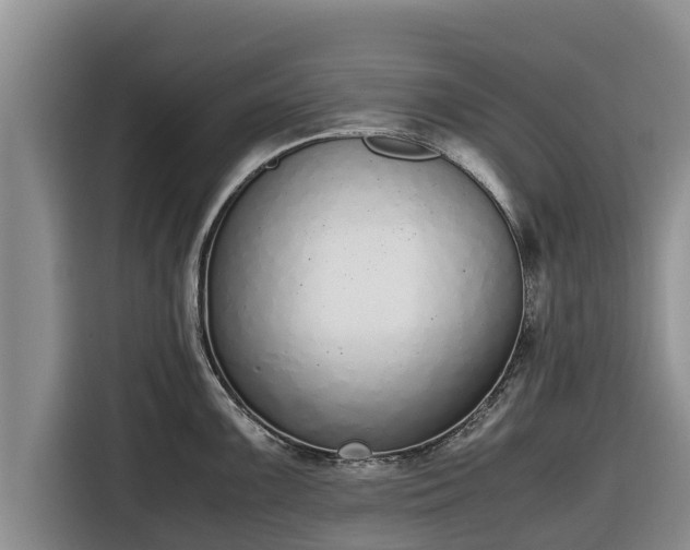 X0000116821099200912241236