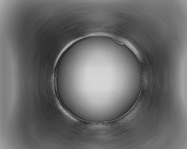 X0000116821100200912241236