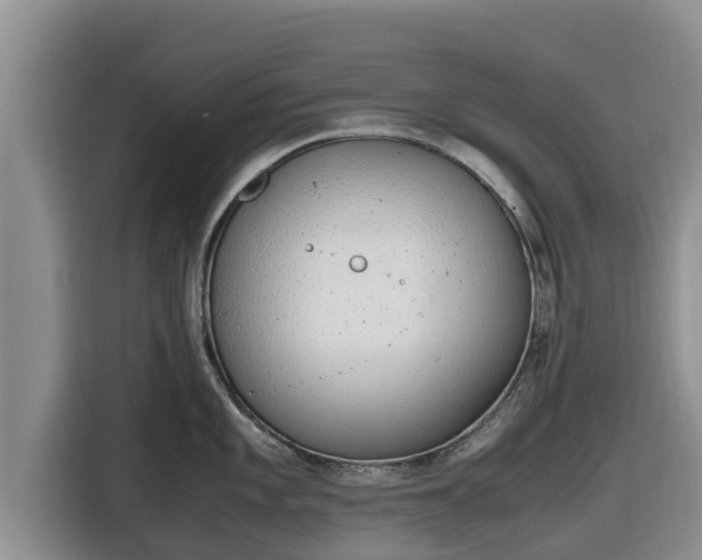 X0000116821101200912241236