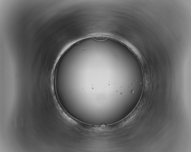 X0000116821102200912241236