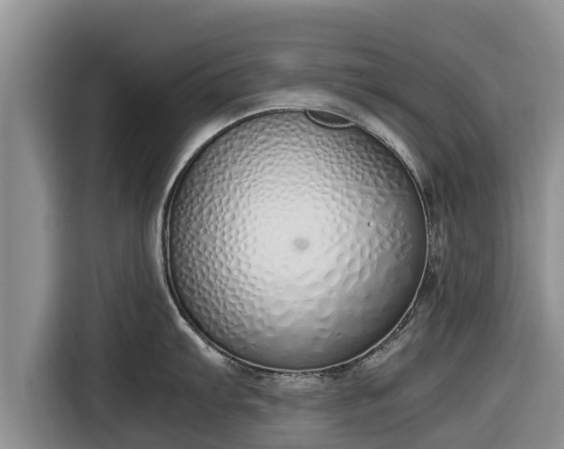 X0000116821103200912241236