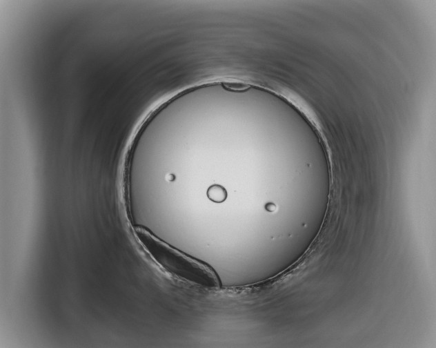 X0000116821104200912241236