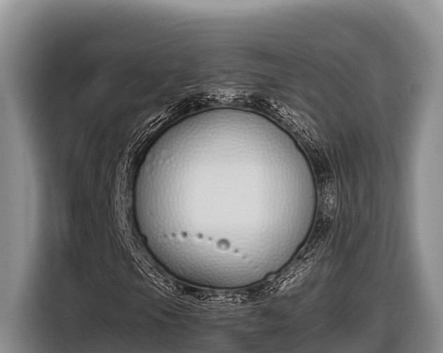 X0000116821105200912241235