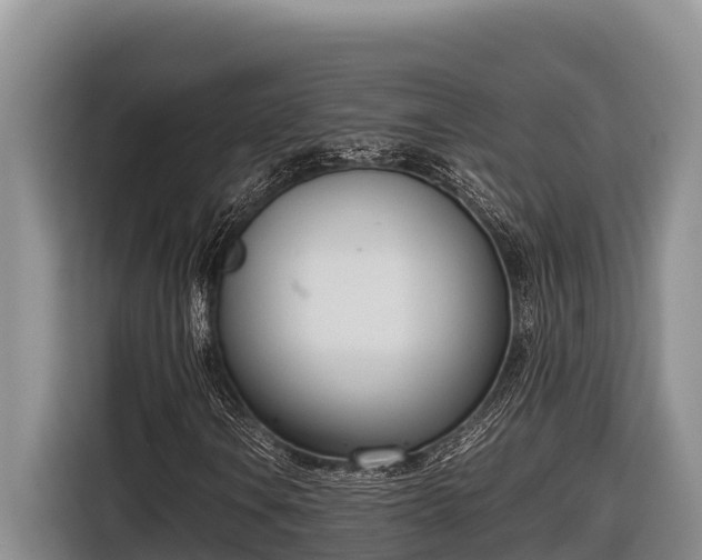 X0000116821106200912241235