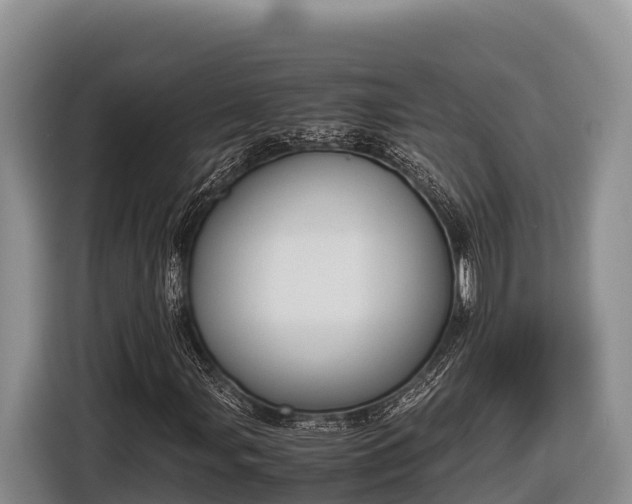 X0000116821107200912241235