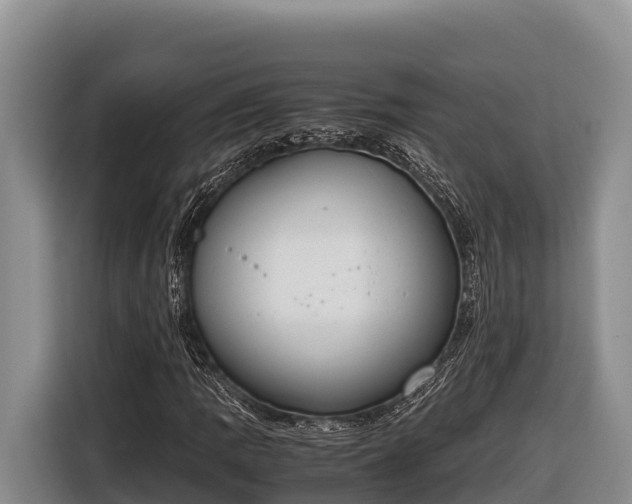 X0000116821109200912241235