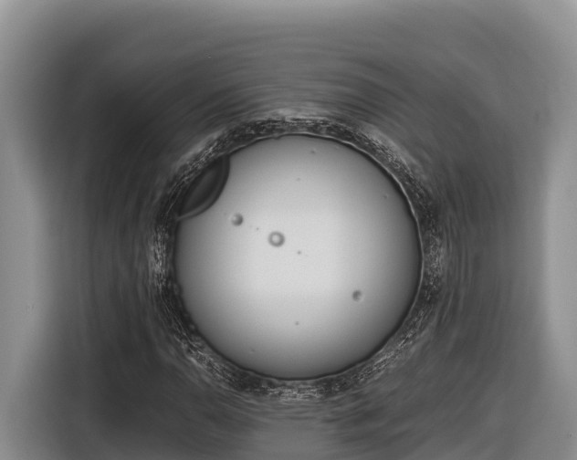 X0000116821110200912241235