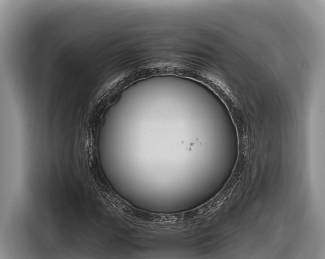 X0000116821111200912241235