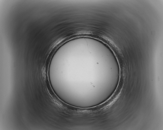 X0000116821113200912241235