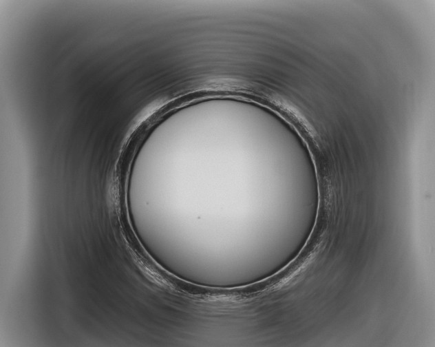 X0000116821114200912241235