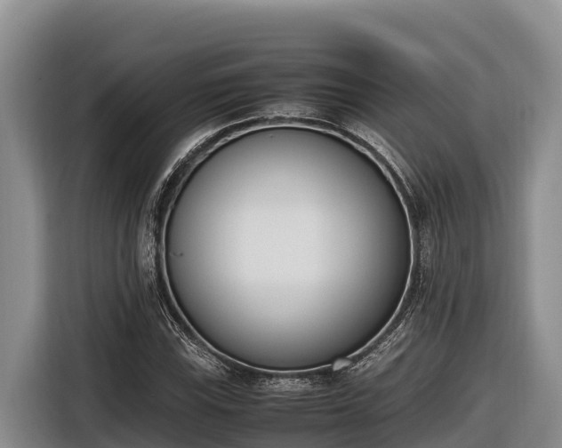 X0000116821115200912241235