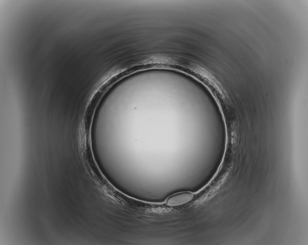 X0000116821117200912241235