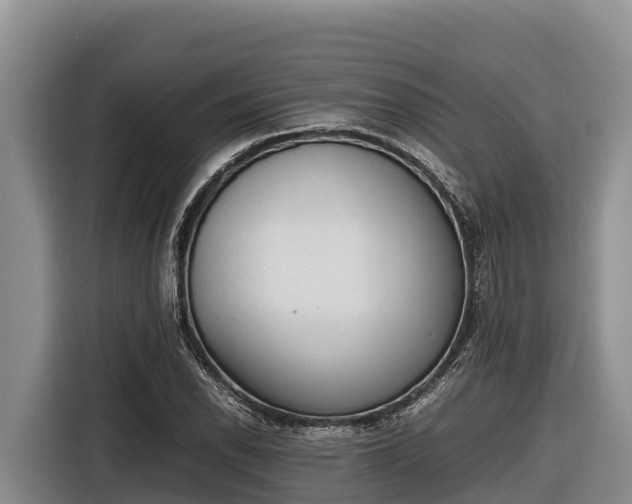 X0000116821118200912241235