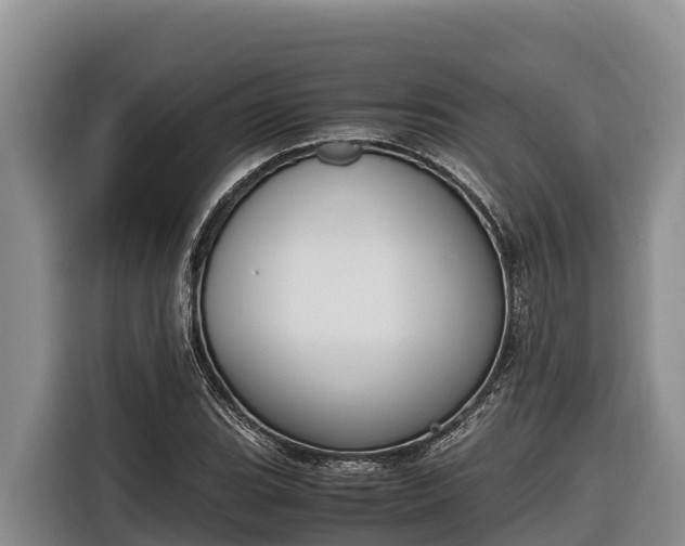 X0000116821119200912241235