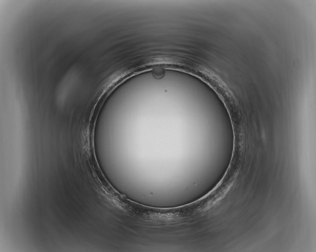 X0000116821121200912241235