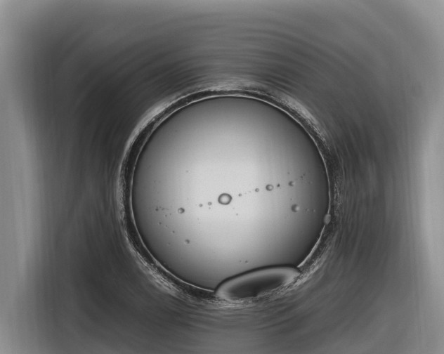 X0000116821122200912241235