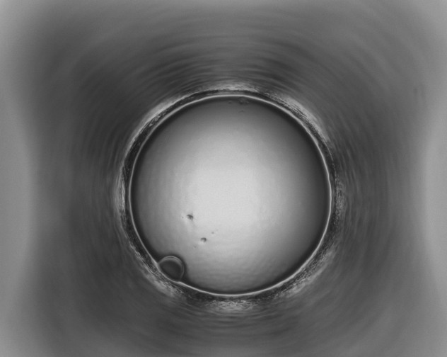 X0000116821125200912241235