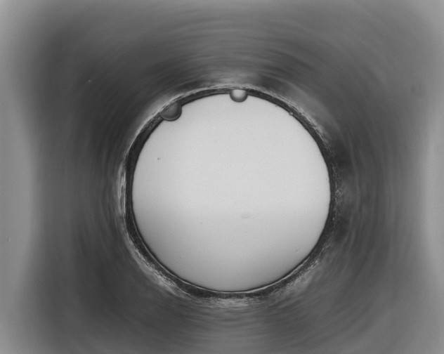 X0000116821126200912241235