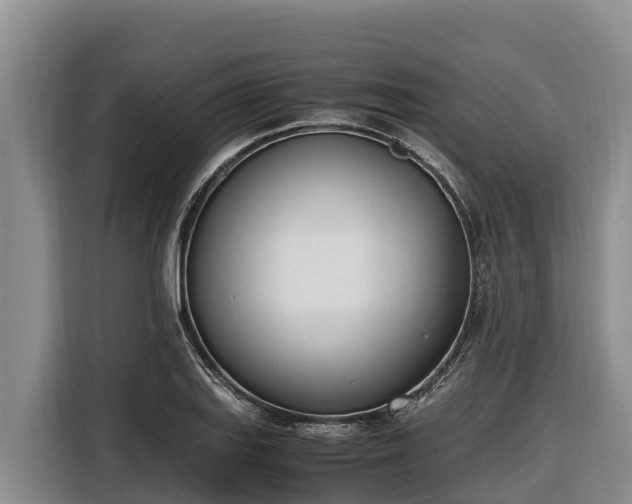 X0000116821127200912241235