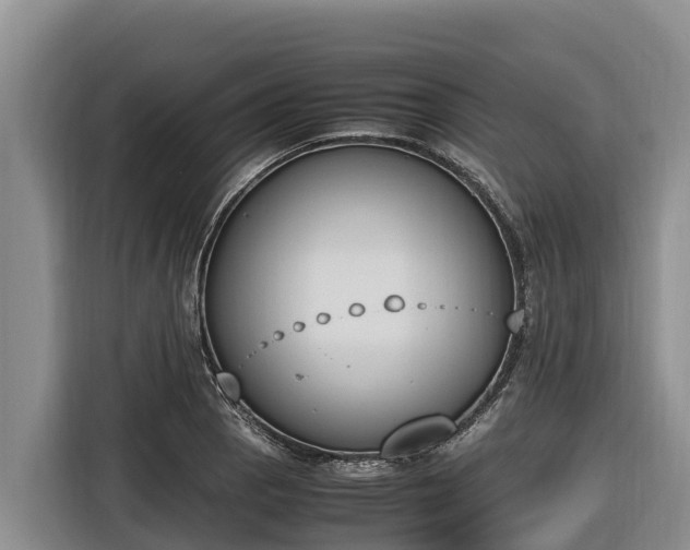 X0000116821129200912241235