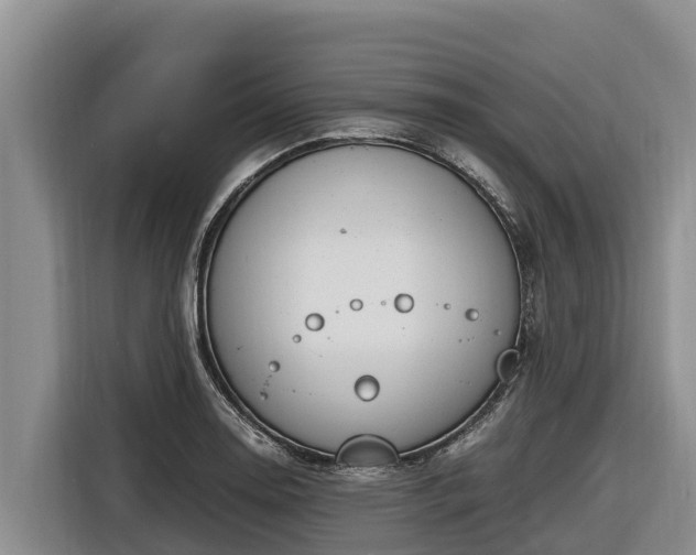 X0000116821130200912241235