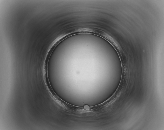 X0000116821133200912241235