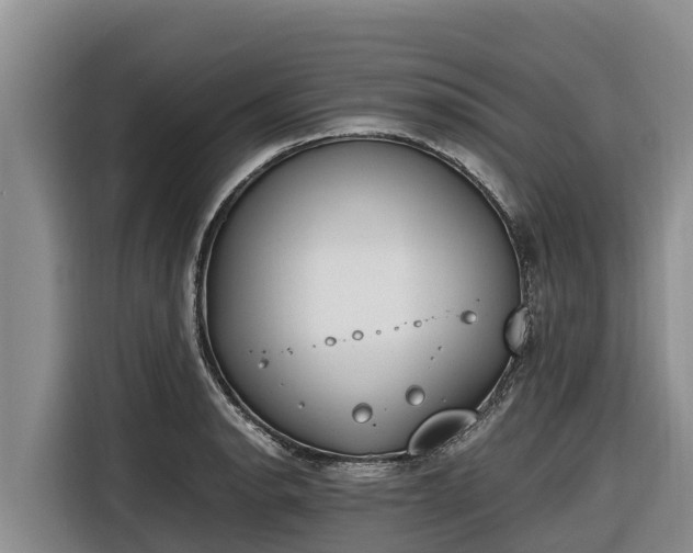 X0000116821134200912241235