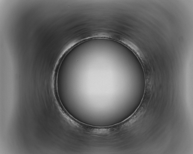 X0000116821135200912241235