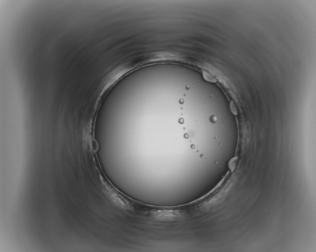 X0000116821137200912241235