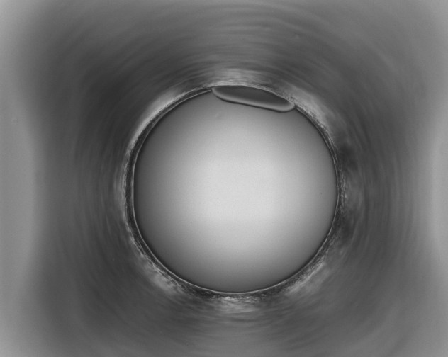 X0000116821138200912241235