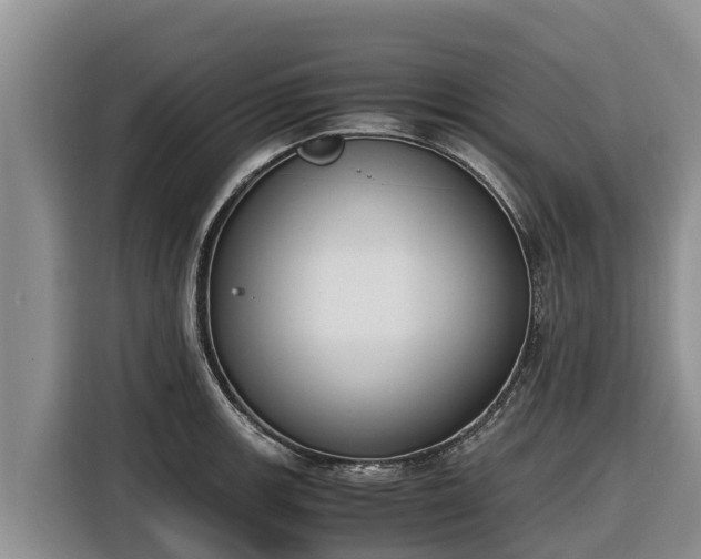 X0000116821139200912241235