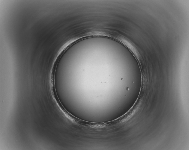 X0000116821141200912241235