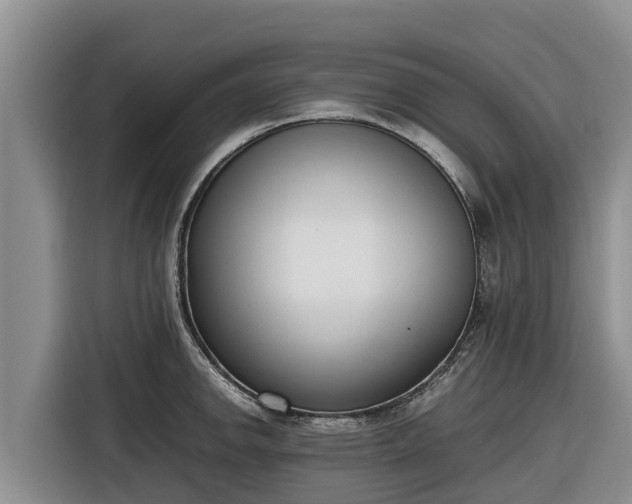 X0000116821142200912241235