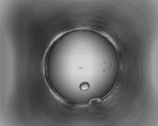 X0000116821143200912241236