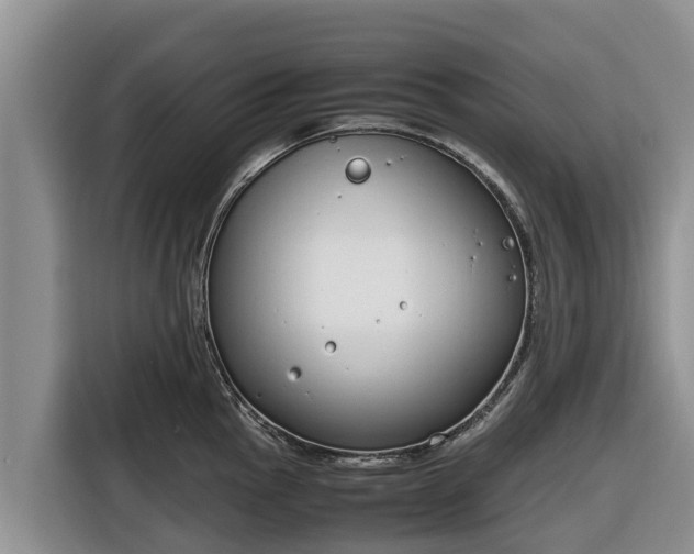 X0000116821145200912241236