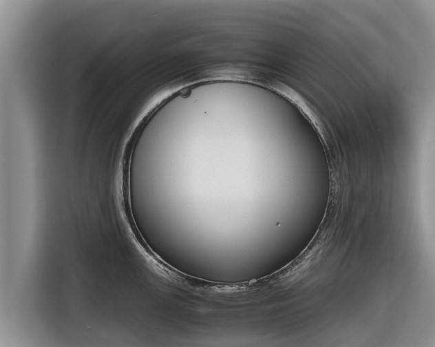 X0000116821147200912241236