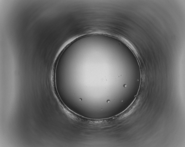 X0000116821149200912241236