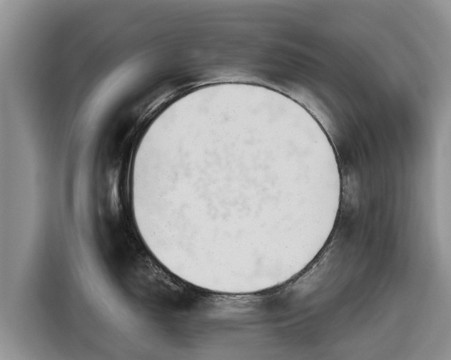 X0000116821150200912241236