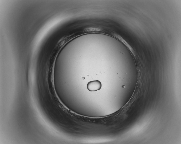 X0000116821151200912241236