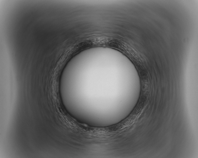 X0000116821153200912241235