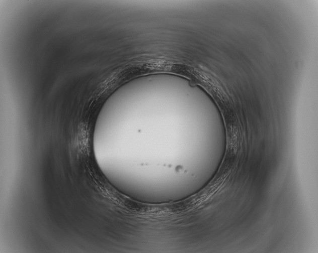 X0000116821154200912241235