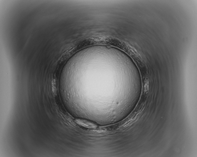 X0000116821156200912241235