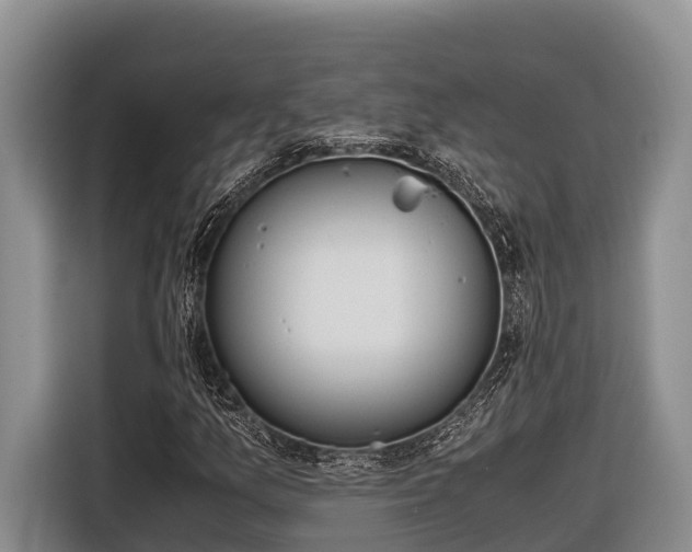 X0000116821157200912241235