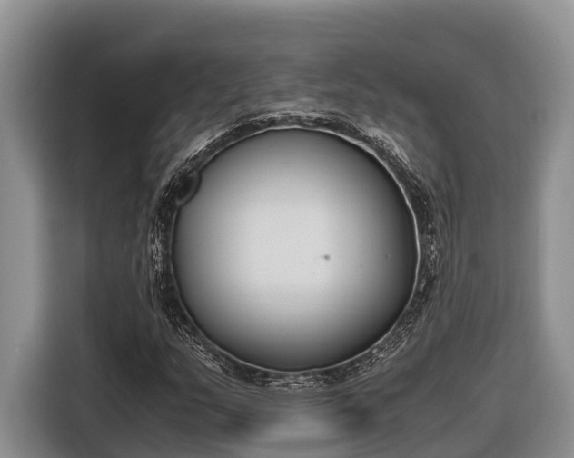 X0000116821159200912241235