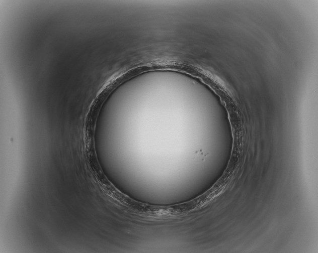 X0000116821160200912241235