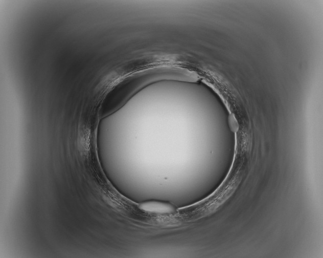 X0000116821161200912241235