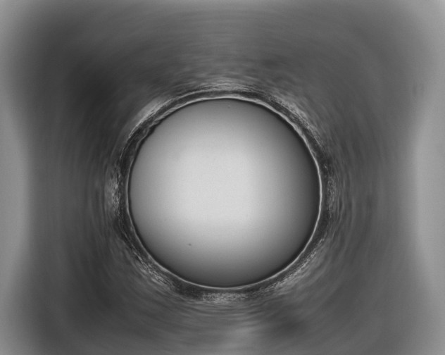 X0000116821163200912241235